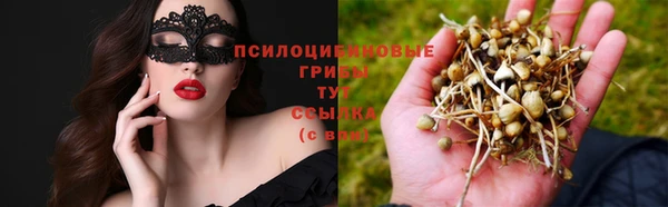 прущие грибы Алзамай