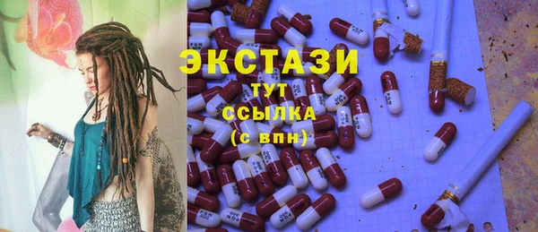 СК Алексин