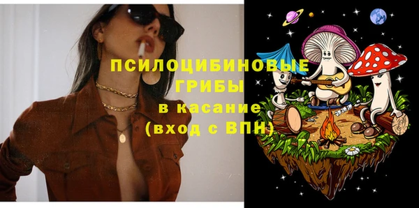 прущие грибы Алзамай
