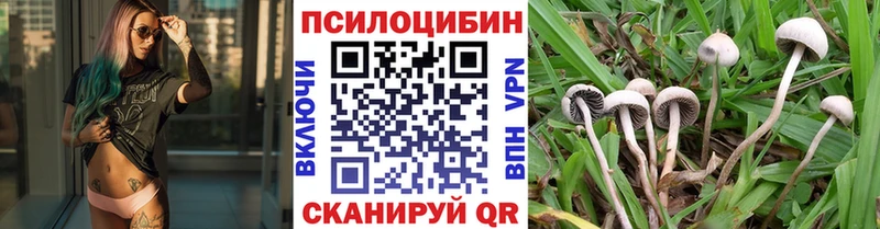 МЕГА ТОР  наркошоп  Тырныауз  Псилоцибиновые грибы GOLDEN TEACHER 
